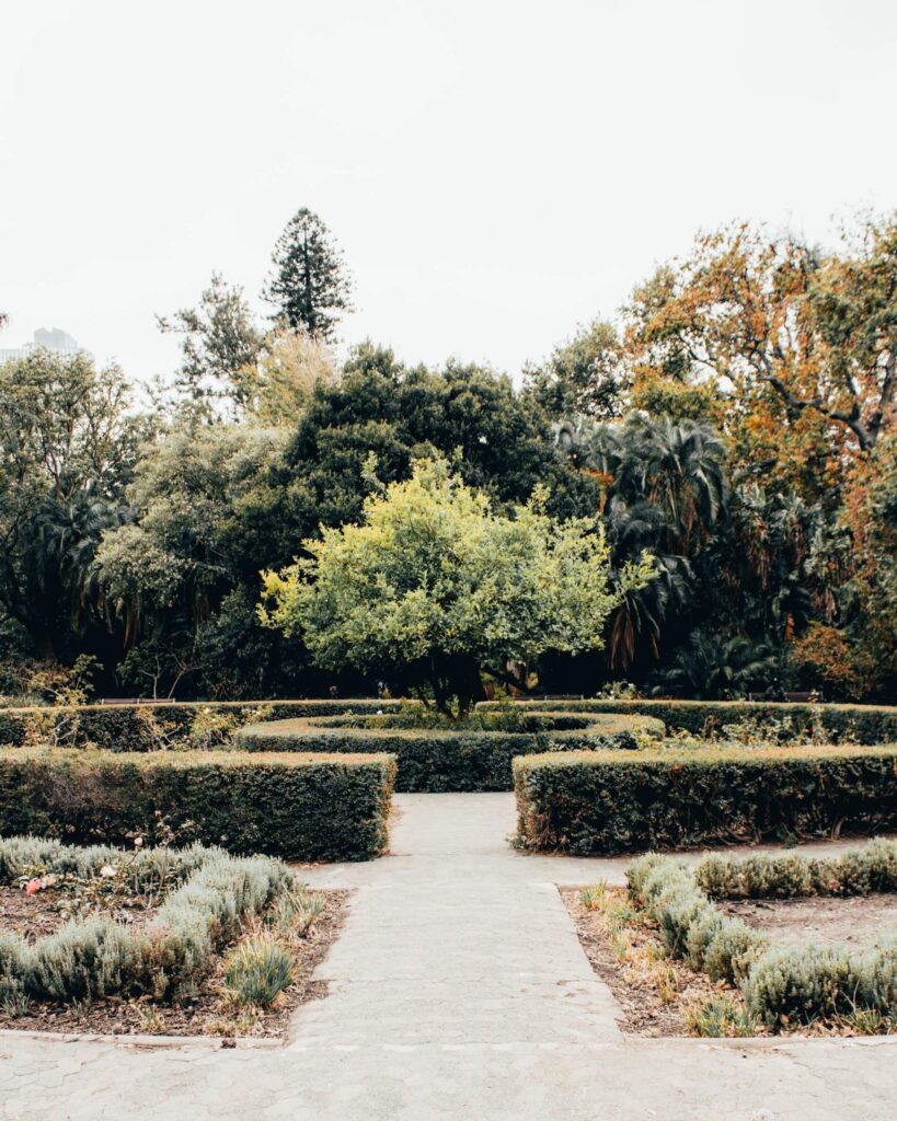 photo of a garden labyrinth with a tree in the middle