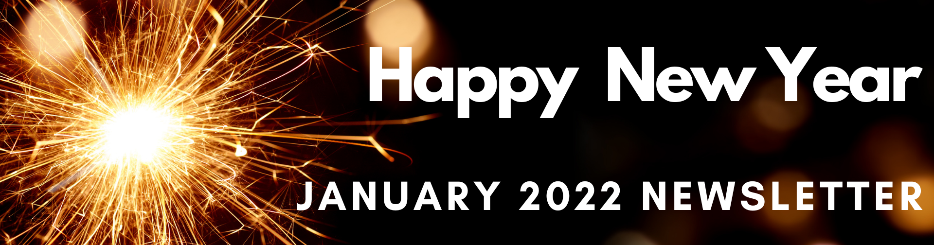 January 2022 Newsletter Link
